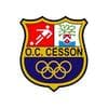 CESSON OC 22