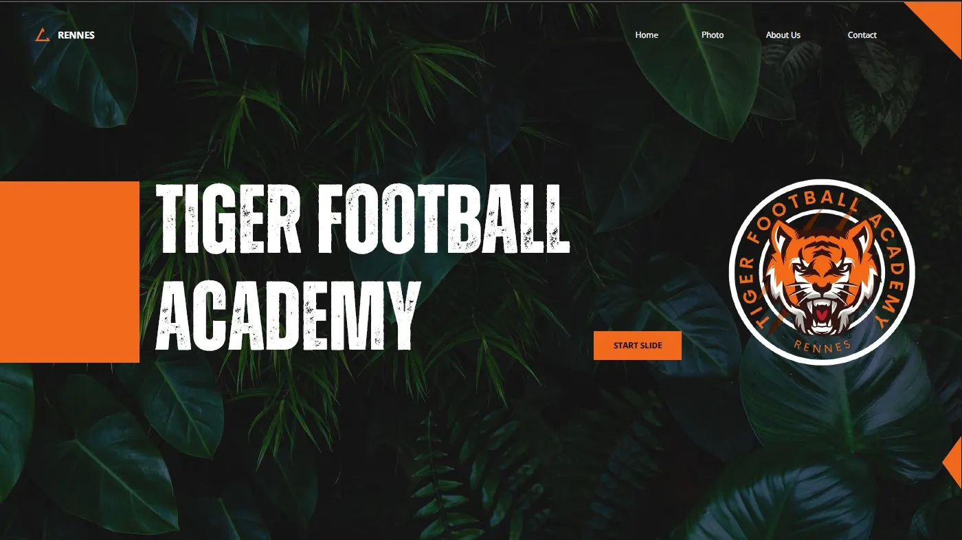 TIGER FOOTBALL ACADEMY
